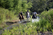 USA-New Mexico-Gila Wilderness Nature Expedition